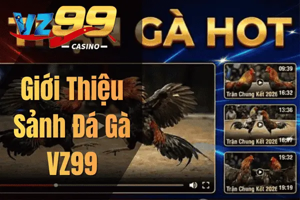 Đá Gà VZ99 – Sân Chơi Trực Tuyến Hấp Dẫn Cho Người Đam Mê Gà Chọi Giới Thiệu Sảnh Đá Gà VZ99