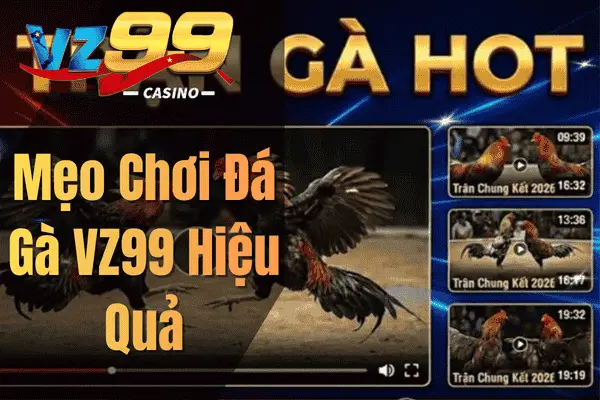 Đá Gà VZ99 – Sân Chơi Trực Tuyến Hấp Dẫn Cho Người Đam Mê Gà Chọi Mẹo Chơi Đá Gà VZ99 Hiệu Quả