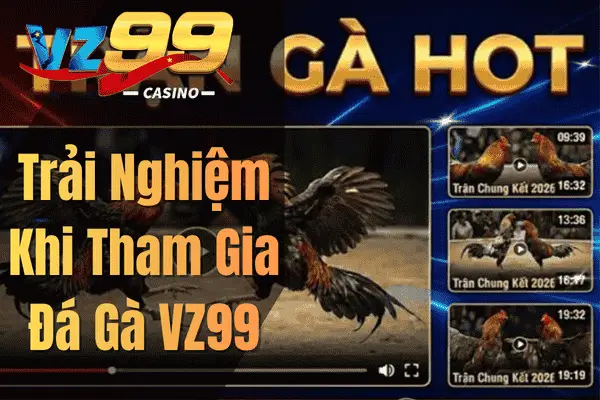 Đá Gà VZ99 – Sân Chơi Trực Tuyến Hấp Dẫn Cho Người Đam Mê Gà Chọi Trải Nghiệm Khi Tham Gia Đá Gà VZ99